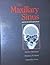The Maxillary Sinus and Its Dental Implications