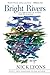 Bright Rivers: Celebrations of Rivers and Fly-fishing by Nick Lyons (2014-03-04)