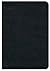 New Revised Standard Version Premium Gift Bible: Black Bonded Leather by Abingdon Press (2010) Leather Bound