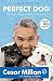 [How to Raise the Perfect Dog: Through Puppyhood and Beyond. Cesar Millan with Melissa Jo Peltier] [By: Millan, Cesar] [September, 2010]
