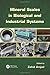 MINERAL SCALES IN BIOLOGICAL AND INDUSTRIAL SYSTEMS by Zahid Amjad
