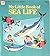 My Little Book of Sea Life
