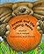 Anansi and the Talking Melon by Eric A Kimmel (1994-03-01)