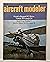 American Aircraft Modeler M...