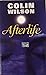 Afterlife