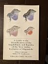A Guide to the Identification of the Amphibians and Reptiles of the West Indies Exclusive of Hispaniola) A Guide to the Identification of the Amphibians and Reptiles of the West Indies Exclusive of Hispaniola)