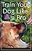 Train Your Dog Like a Pro by Jean Donaldson (28-Apr-2010) Hardcover