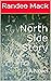 North Side Story : A Novel