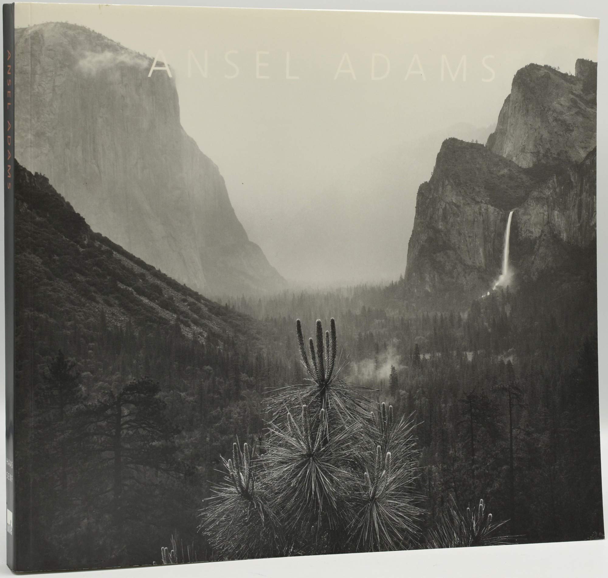 Ansel Adams: In the Lane Collection (Paperback)