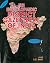 Gyan Publishing House The E...