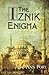 The Iznik Enigma by Ann Port (2013-01-22)