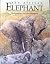 THE AFRICAN ELEPHANT