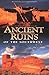 Ancient Ruins of the Southwest: An Archaeological Guide (Arizona and the Southwest) by David Grant Noble (2000-01-01)