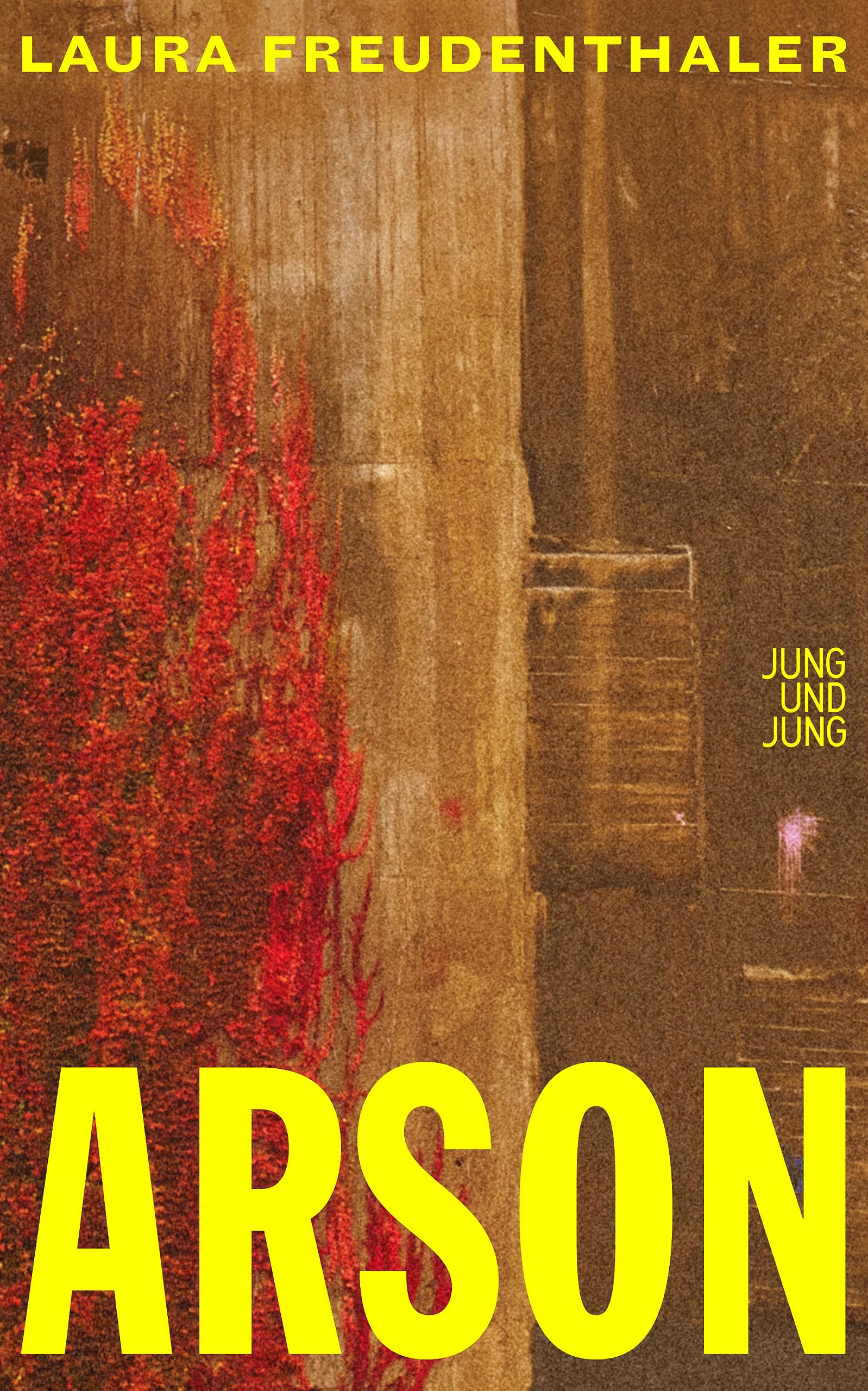 Arson: Roman (German Edition)