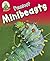 Funniest Minibeasts (Leapfrog Learners) by Annabelle Lynch (2013-04-12)