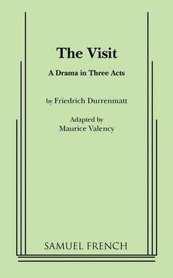 The Visit[VISIT][Paperback]