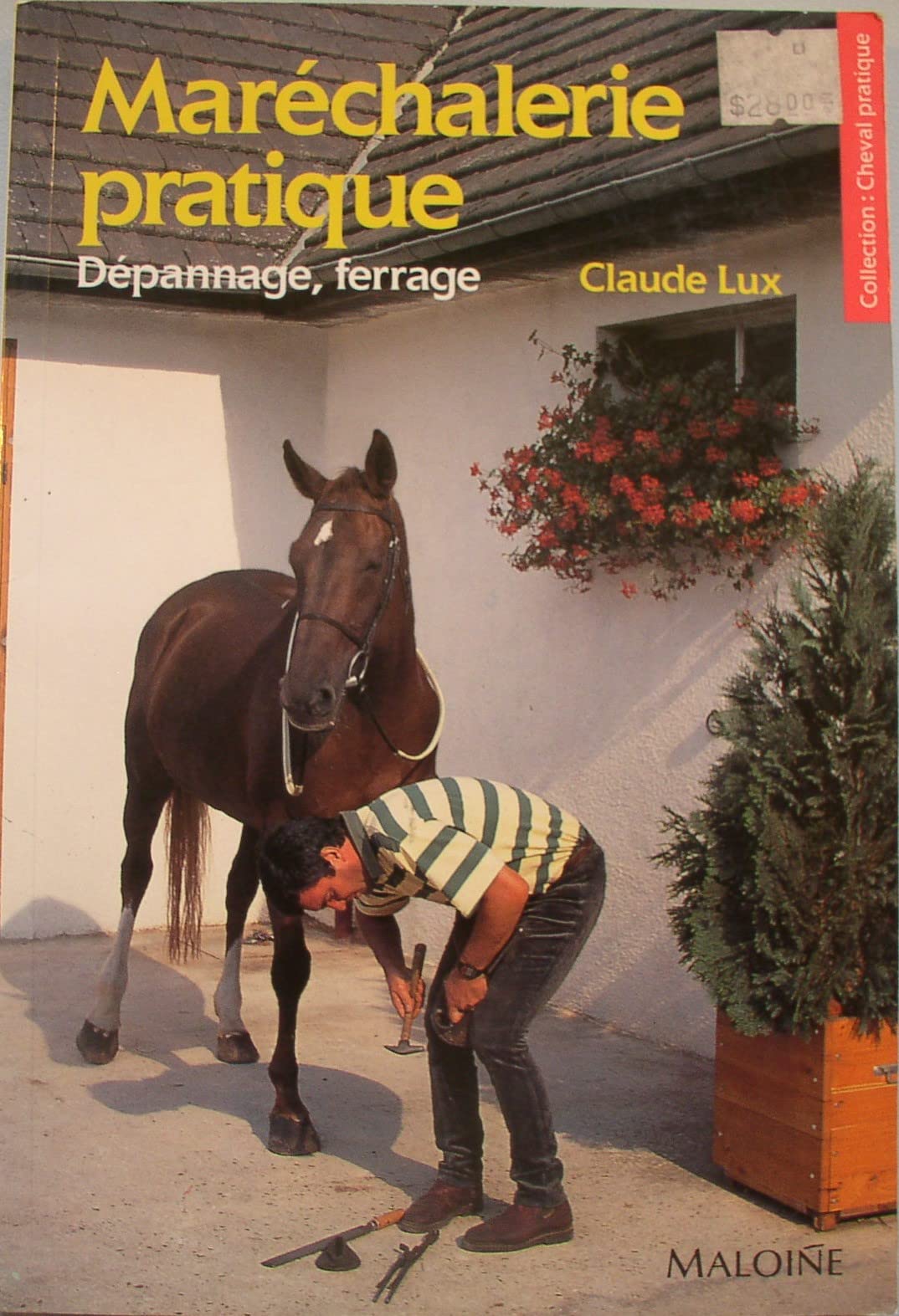 Maréchalerie Pratique: Dépannage, Ferrage (Paperback)