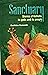 Sanctuary Stories of Kolkata, Its Gods and Its People by Suchitra Samanta
