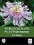 World Healing Plants for Tomorrow by C P Khare