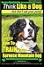 By Mr Paul Allen Pearce Bernese Mountain Dog, Bernese Mountai... by Mr Paul Allen Pearce