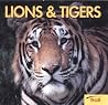 Lions and Tigers Lions and Tigers