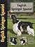 English Springer Spaniel by Haja Van Wessem (2000-02-05)