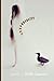 Corporeality by Hollis Seamon (January 31, 2013) Paperback