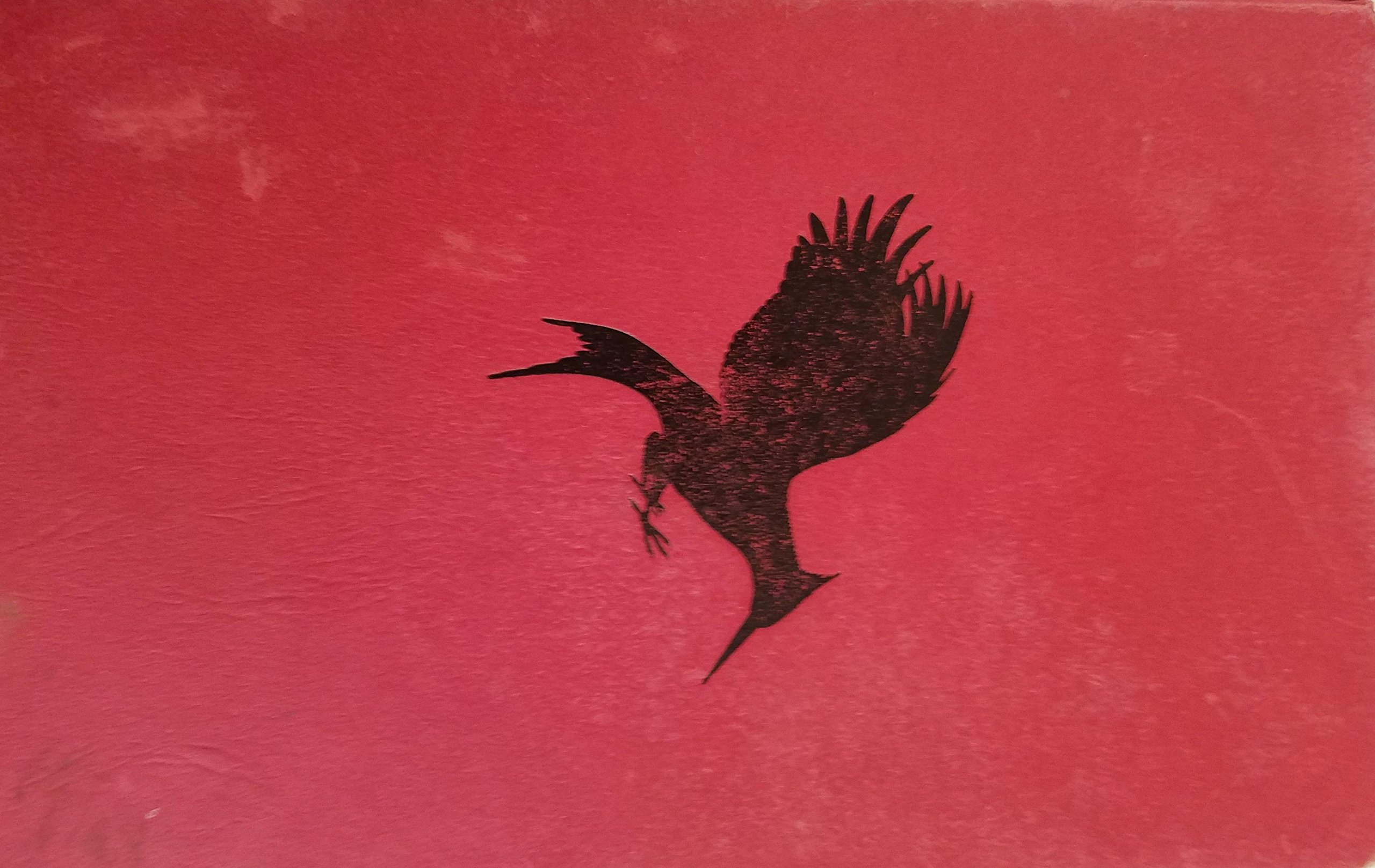 Catching Fire[CATCHING FIRE][Hardcover]