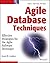 Agile Database Techniques: Effective Strategies for the Agile Software Developer 1st edition by Ambler, Scott (2003) Paperback