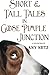 Short & Tall Tales in Goose Pimple Junction (Volume 3) by Amy Metz (August 31,2015)