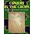 Ciphers in the Crops: The Fractal and Geometric Crop Formation of 1991 (1992-07-03)