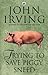Trying To Save Piggy Sneed by John Irving (1994-03-31)