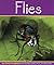 Flies (Insects)