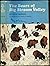 The Bears of Big Stream Valley by Edor Burman