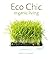 Eco Chic: Organic Living by Rebecca Tanqueray (2000-08-30)