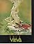 Views by Roger Dean (1975-08-02)