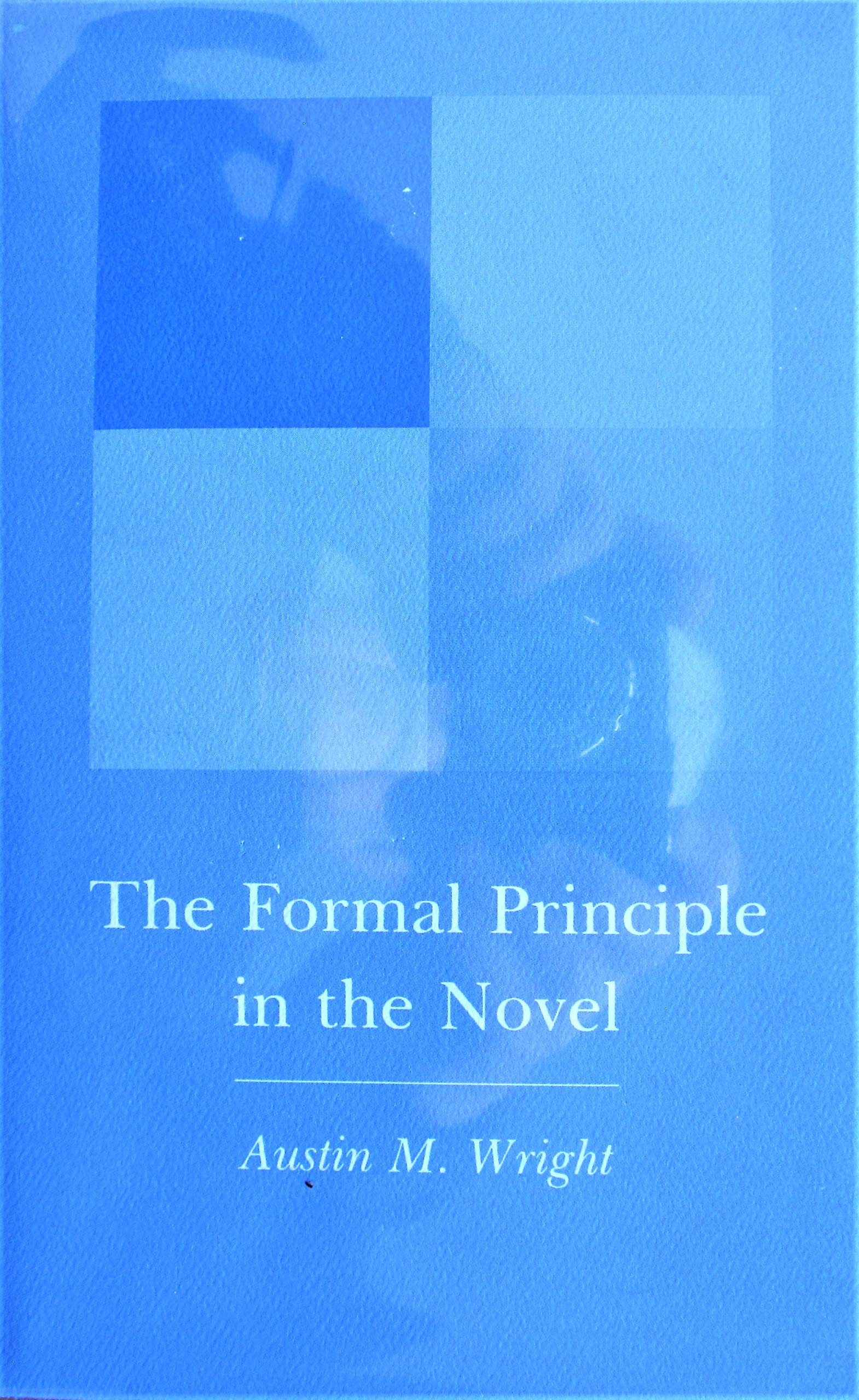 Formal Principle in the Novel (Hardcover)
