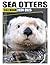 Sea Otters Calendar 2024-20...