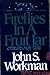 Fireflies in a Fruit Jar: On Religion, Politics, and Other Wonders by a Southern Preacher-Turned-Journalist