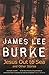 Jesus Out To Sea by James Lee Burke (2008-01-24)