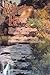 Reflection on the River: Th...
