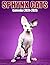 Sphynx Cats Calendar 2024-2...