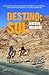 Destino: Sul