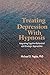 Treating Depression With Hypnosis: Integrating Cognitive-Behavioral and Strategic Approaches by Yapko, Michael D. (2001) Paperback
