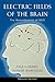 Electric Fields of the Brain: The Neurophysics of EEG, 2nd Edition by Paul L. Nunez Ramesh Srinivasan(2005-12-01)