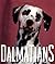 Dalmations by Julie Mars (1996-05-03)