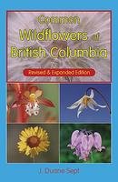 Common Wildflowers of British Columbia (Paperback)