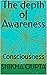 The depth of Awareness: Con...