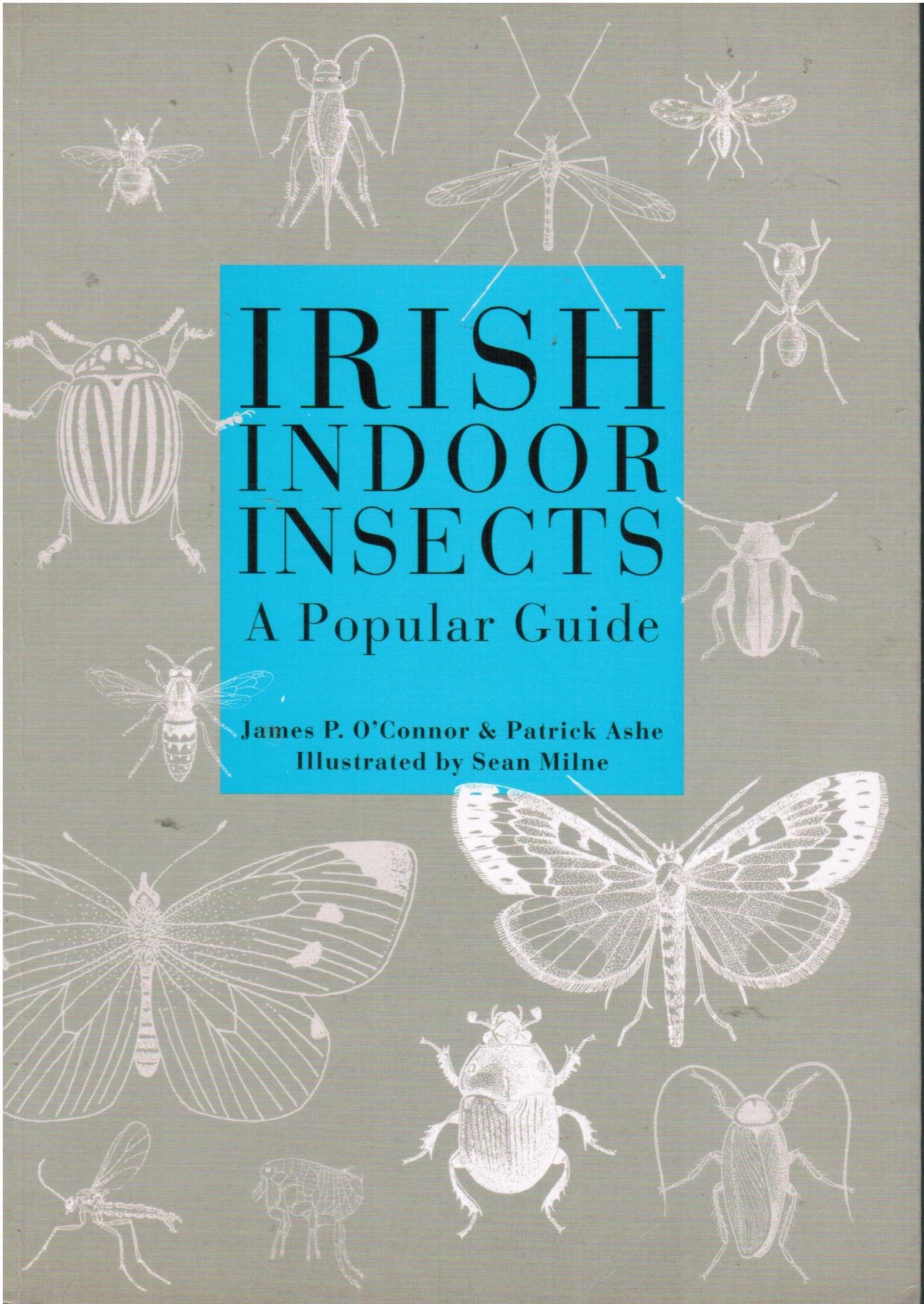 Irish indoor insects: A guide to Irish indoor insect pests (Paperback)