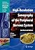 High-Resolution Sonography of the Peripheral Nervous System (Medical Radiology) (2008-06-06)